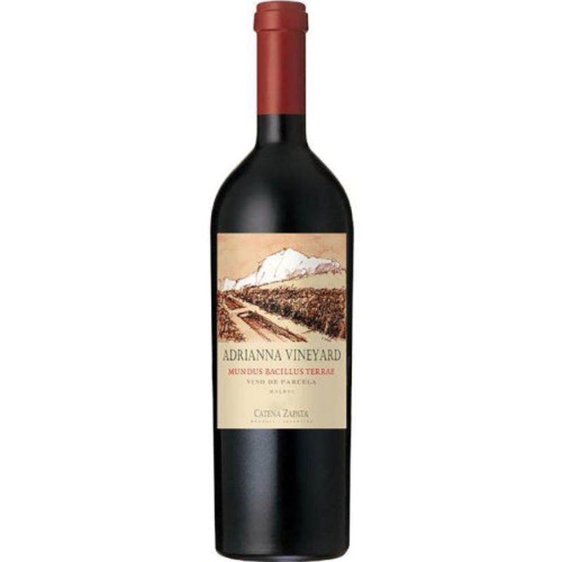Catena Zapata Adrianna Vineyard Mundus Bacillus Terrae 2020 - 750ML